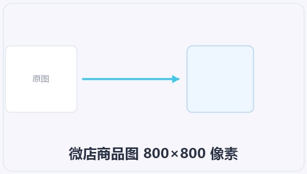 微店商品图 800×800 像素 示意图