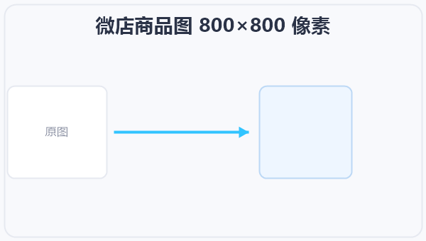微店商品图 800×800 像素 示意图