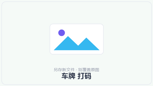 车牌 打码 示意图