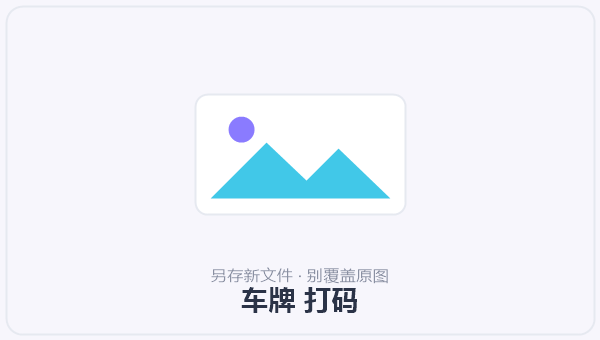 车牌 打码 示意图