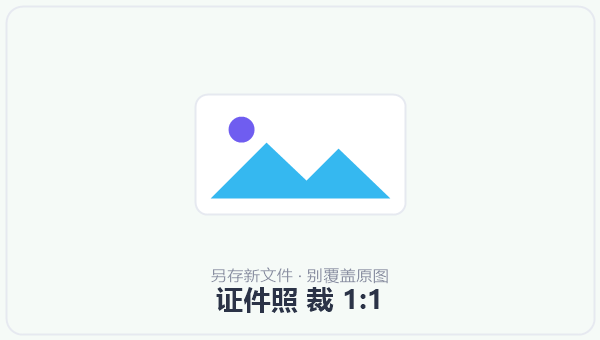 证件照 裁 1:1 示意图