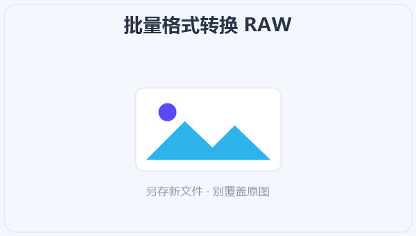 批量格式转换 RAW 示意图