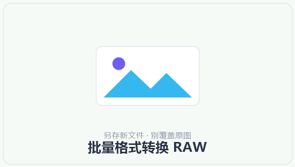 批量格式转换 RAW 示意图