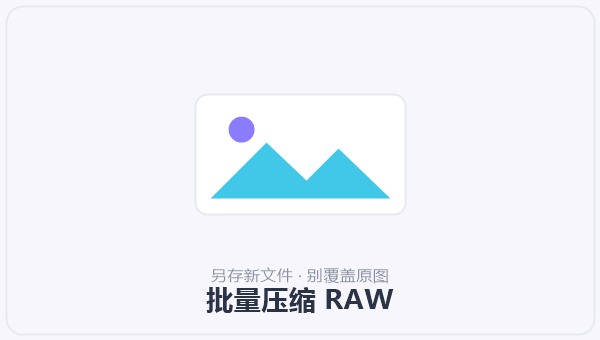 批量压缩 RAW 示意图