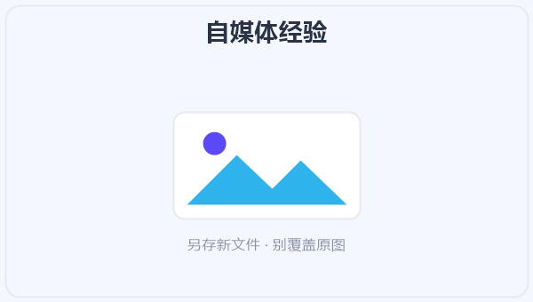 自媒体经验 示意图