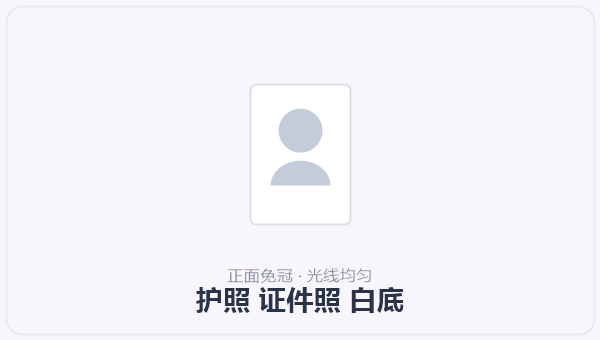 护照 证件照 白底 示意图
