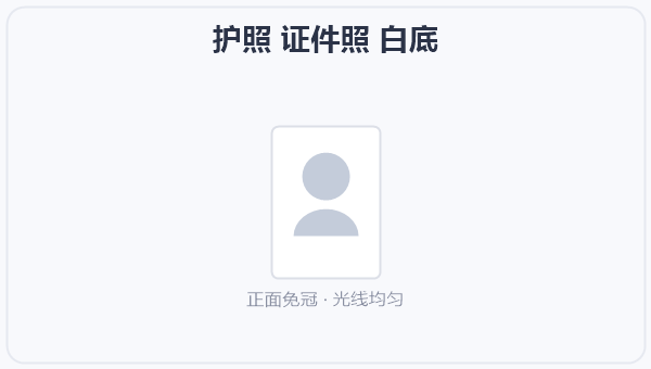 护照 证件照 白底 示意图