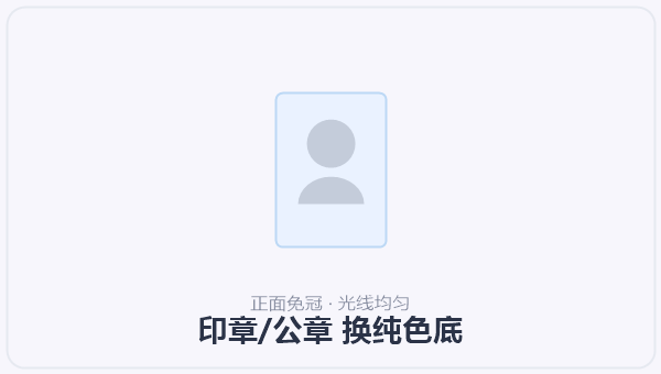 印章/公章 换纯色底 示意图
