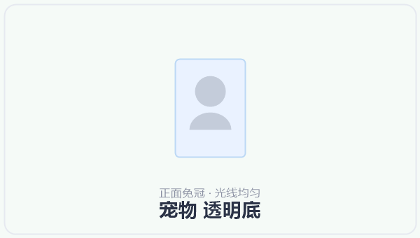 宠物 透明底 示意图