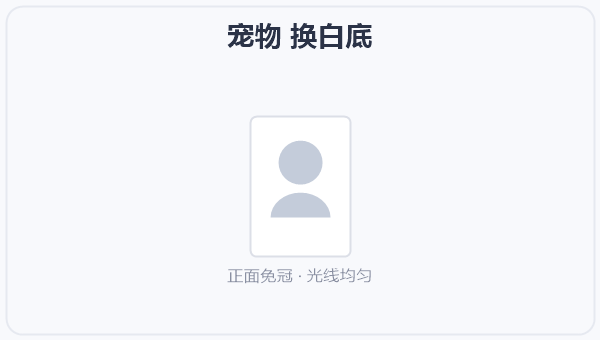 宠物 换白底
