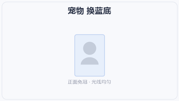 宠物 换蓝底