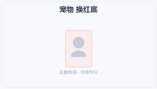 宠物 换红底