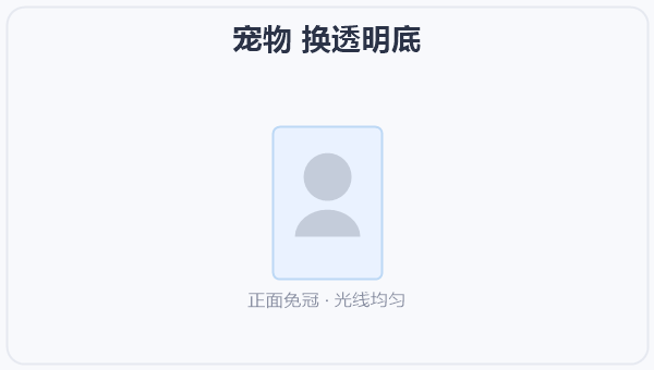 宠物 换透明底
