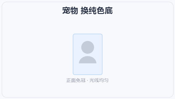 宠物 换纯色底
