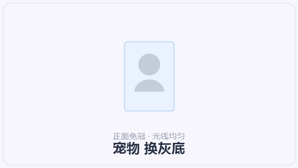 宠物 换灰底 示意图