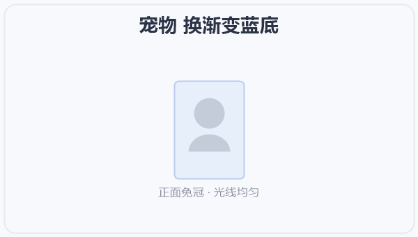 宠物 换渐变蓝底 示意图