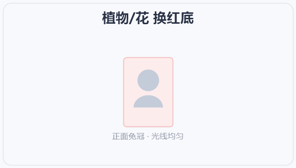 植物/花 换红底