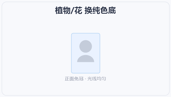 植物/花 换纯色底