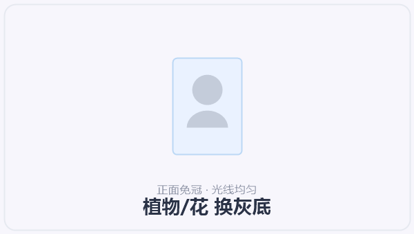 植物/花 换灰底