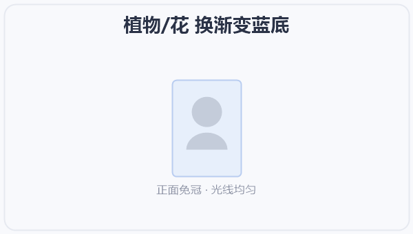 植物/花 换渐变蓝底
