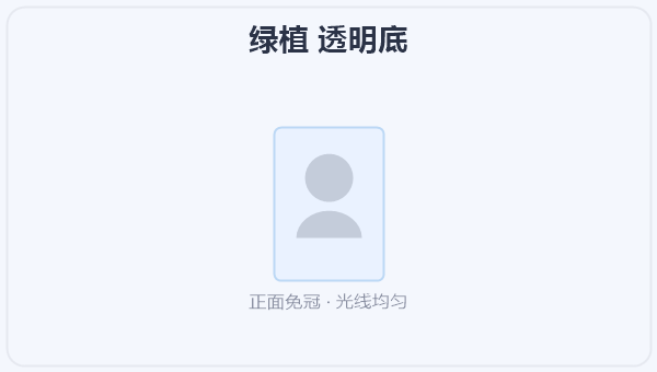 绿植 透明底