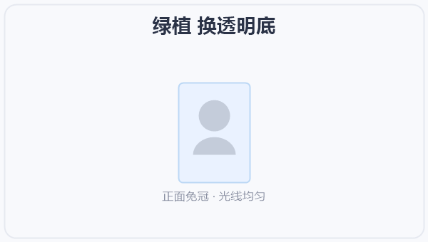 绿植 换透明底 示意图