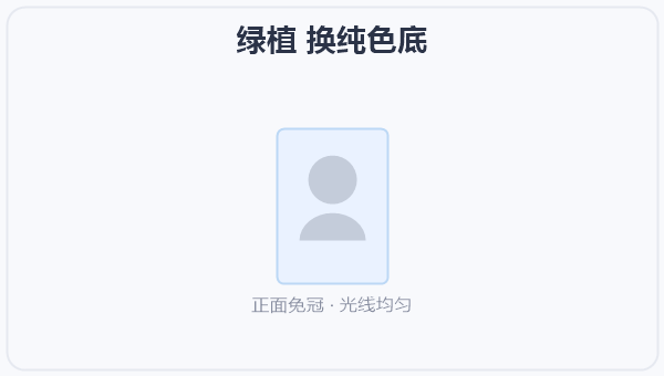 绿植 换纯色底 示意图