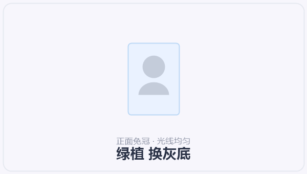 绿植 换灰底 示意图