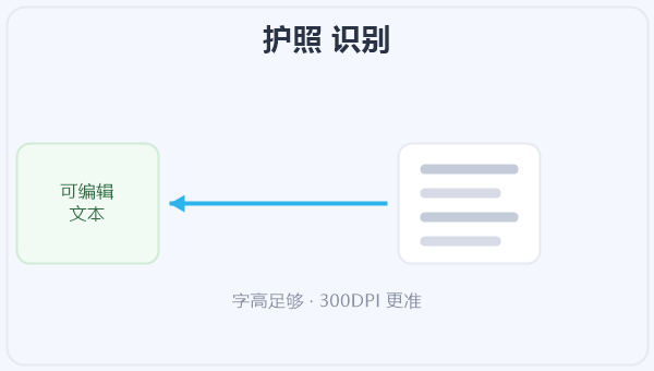 护照 识别 示意图