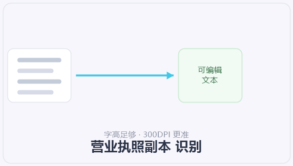 营业执照副本 识别