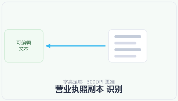 营业执照副本 识别 示意图