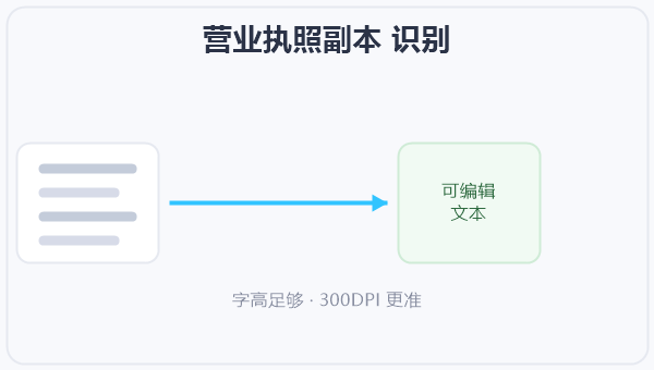 营业执照副本 识别 示意图