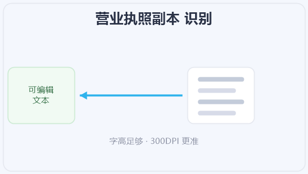 营业执照副本 识别 示意图