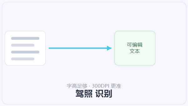 驾照 识别 示意图