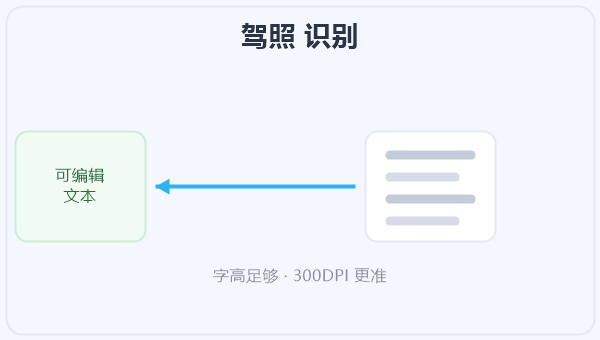 驾照 识别 示意图