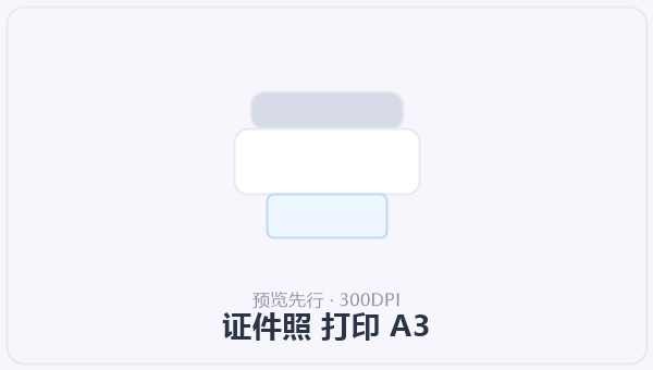 证件照 打印 A3 示意图