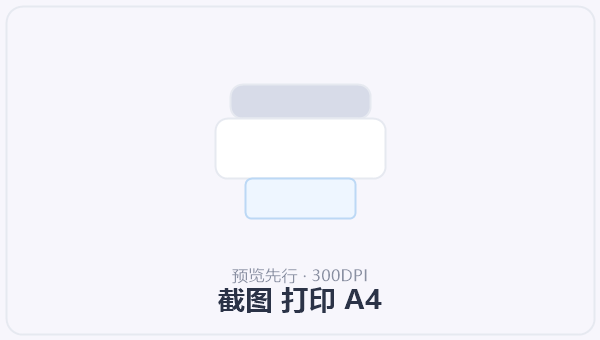 截图 打印 A4 示意图