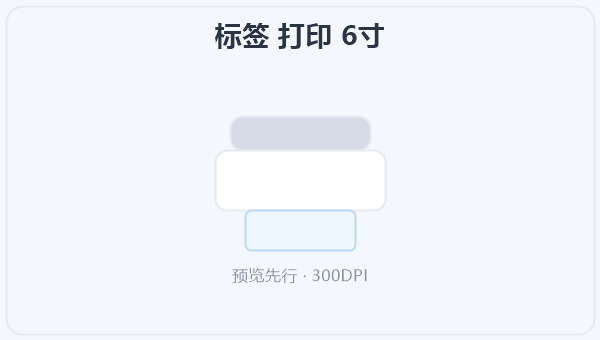 标签 打印 6寸 示意图