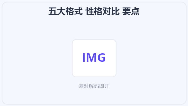 五大格式 性格对比 示意图