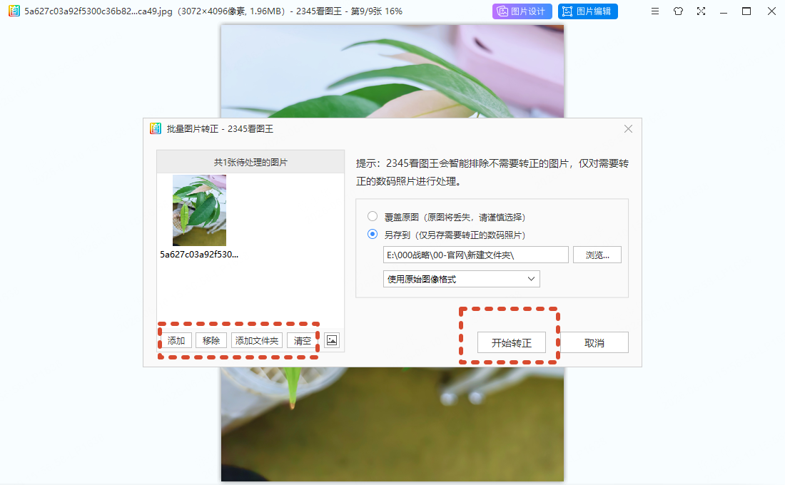 浏览 WEBP