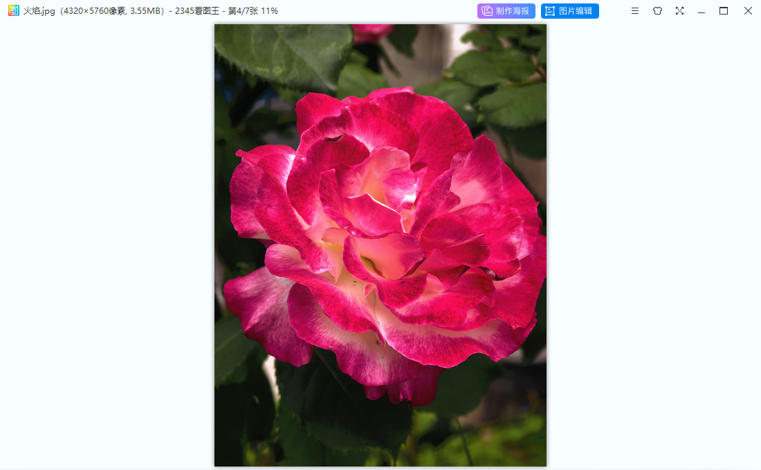 微博头像 500×500 像素