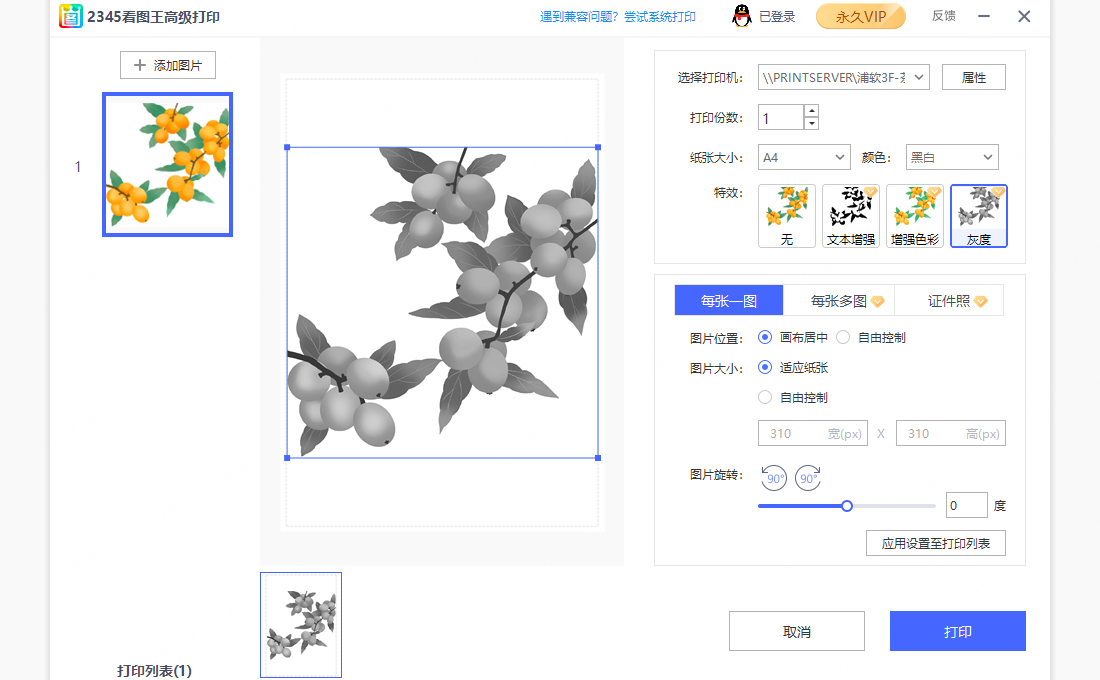 海报 打印 明信片