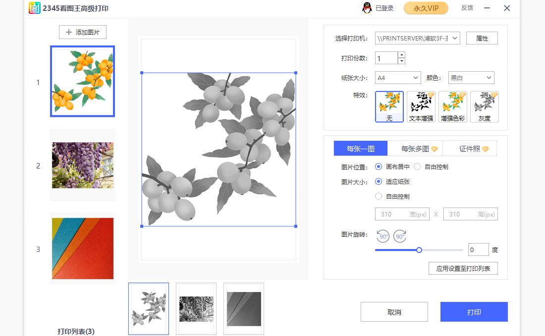 表格 打印 信封