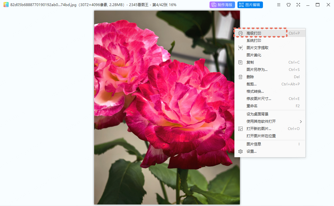 讲义 打印 明信片